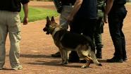 The Vallejo Police Department will suspend all but one of its K-9 units.