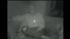Marin sheriff defends use of Taser on... :: Peter McFarland was Tased inside his own home.