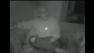 Peter McFarland was Tased inside his own home.