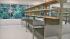 stem cell research