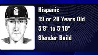 Sunnyvale arson suspect