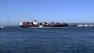 Coast Guard launches effort to prevent whale-ship collisions