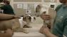 Statewide hunt on for fake veterinarian hurting dogs