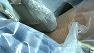 Hospital infections