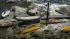 UC Santa Cruz loses boats in tsunami :: UC Santa Cruz lose boats in tsunami