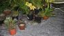 uReport photo of hail