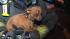 Chihuahua found alive in SF fire ruins :: Chihuahua found in SF fire