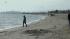 Alameda beach