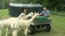 Barry Meinerth worked as a printing executive for 35 years before coming an alpaca farmer.