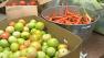 Food banks
