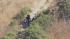 Police confirm body found is Michelle Le