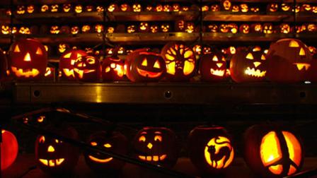 San Francisco Bay Area Halloween pumpkins