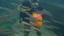 Scuba divers at the Aquarium of the Bay in San Francisco have been carving pumpkins underwater.