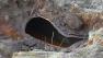 PG&E calls pipeline rupture in Woodside success