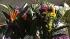 More details emerge about Oikos shooting... :: More details emerge about Oikos shooting victims