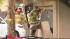 Investigators look at burned home after... :: Investigators look at burned home after standoff