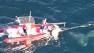 Whale rescue operations halted in Southern Calif.