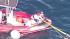 Rescuers continue efforts to save entangled... :: Whale rescue operations halted in Southern Calif.