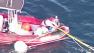 Whale rescue operations halted in Southern Calif.
