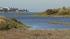 Experts monitor dolphin swimming up Colma Creek :: Experts monitor dolphin swimming up Colma Creek