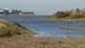 Experts monitor dolphin swimming up Colma Creek