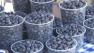 Growers in the Central Valley are coming to the Bay Area because people will pay more for fresh produce.