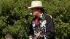 Excitement grows for busy Bay Area weekend :: Hardly Strictly Bluegrass Festival performer
