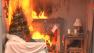 Fire officials demo how fast trees catch fire