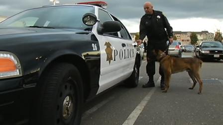 Richmond K-9 poisoned while cops home is robbed