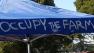Occupy the Farm back onto Gill Tract