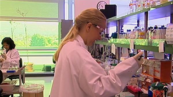 JBEI Fossel Fuel