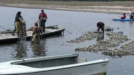 Kevin Lunny bought Johnsons Oyster Farm in 2005 and renamed it the Drakes Bay Oyster Company.