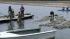 An independent analysis by the Marine Mammal Commission was released on the Drakes Bay Oyster Company.