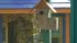 Pandemonium Aviaries