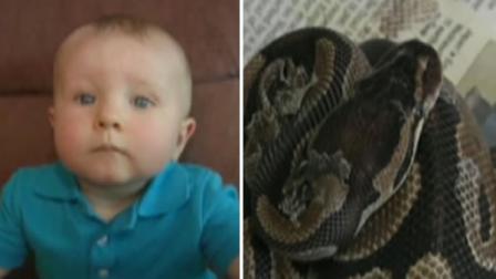 A baby in Illinois is recovering after being attacked by a snake in his crib.