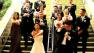 Gangnam Style Wedding