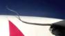 Snake clings to wing of a plane