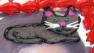 Cat cake goes viral