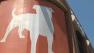 Zynga headquarters