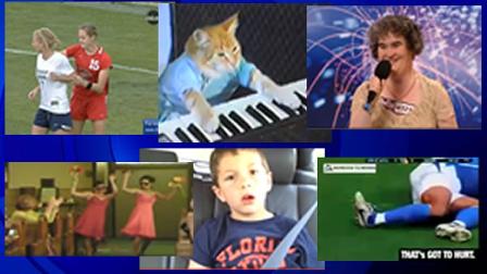 viral video, must see, YouTube, piano cat, david after dentist, salon beating, muni fight, all the single babies, susan boyle, soccer fight, Green Day