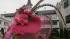 The hats of the 137th Kentucky Derby