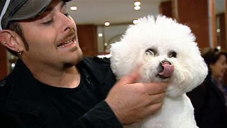 Westminster Kennel Club dog show