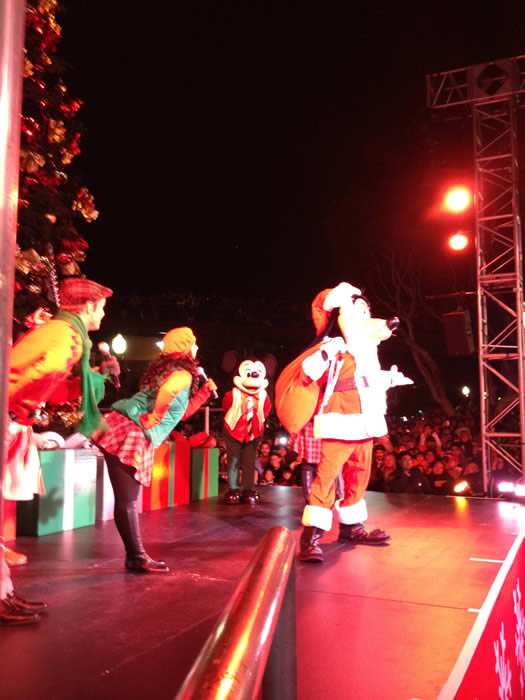 Pier 39s Tree Lighting Celebration