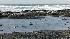 Fitzgerald Tidepools