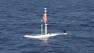 Bay Area researchers are using a powerful new technology to track some of the most majestic creatures in the ocean.