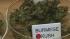 Growers and drug companies are creating a generation of marijuana products designed to treat pain without giving users a high.