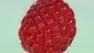 Raspberry