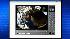 RAW VIDEO: Muni surveillance -- Camera 1 ::