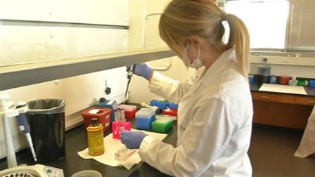 rape kits being tested