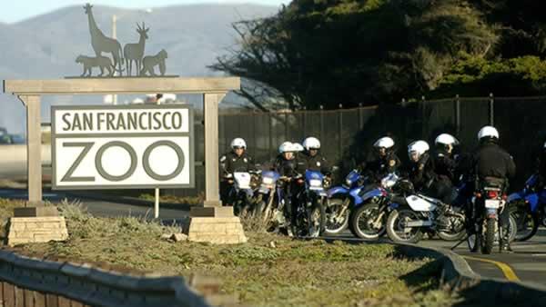SF Zoo tiger attack
